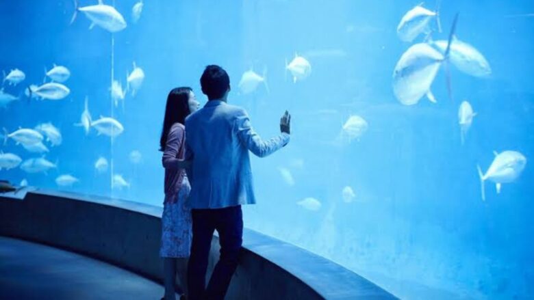 パパ活相手と水族館デートをする男女のイメージ